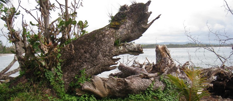 dégâts du cyclône AVA