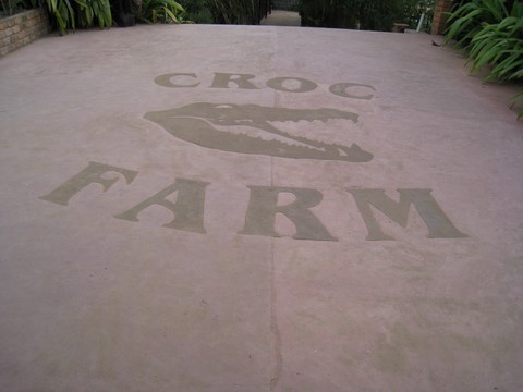 Croc farm
