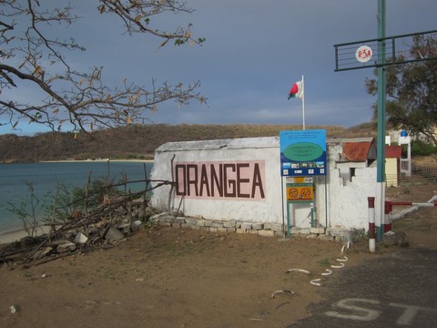 Orangea